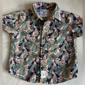 Baby Bum Boys‎ Button Down Short Sleeve Shirt Size 18 M